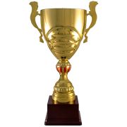 COPPA 2015TM11 M1