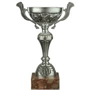COPPA 2015TM23 M1